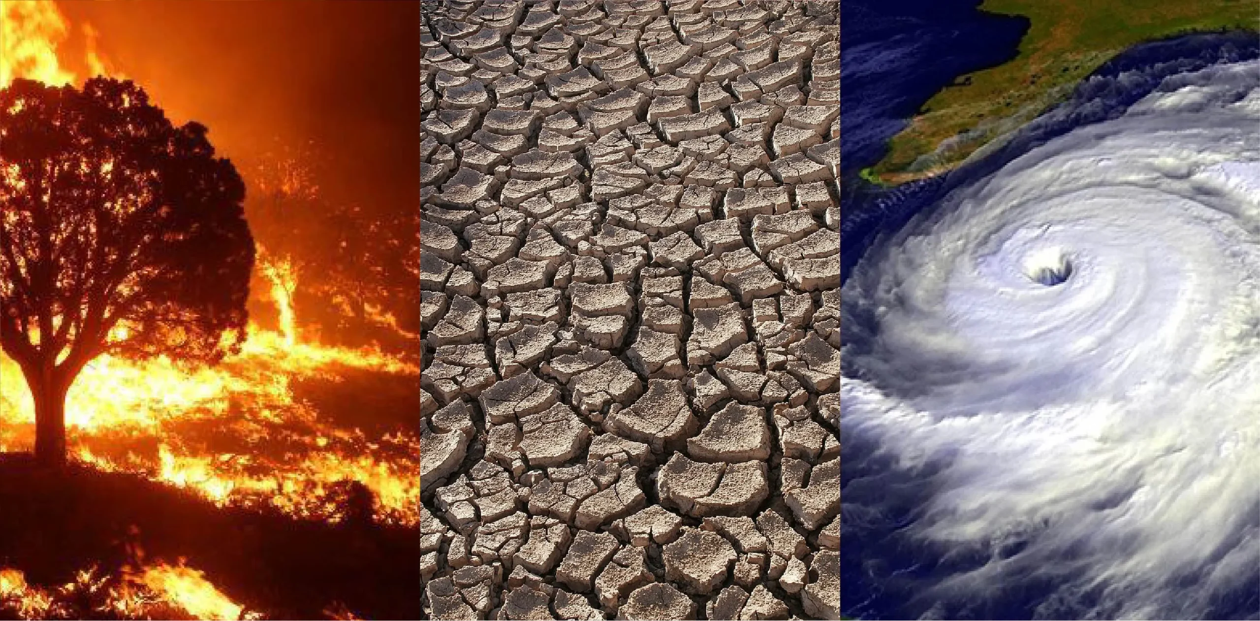 Understanding Climate Change and Its Impact on Our Planet